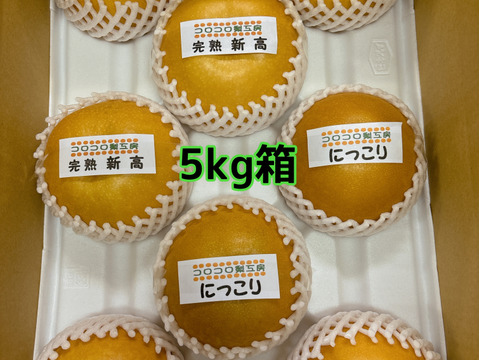【秋の梨詰め合わせ🍐】新高とにっこり贈答用約5kg✨樹上完熟の甘くとってもフルーティーな新高と甘くてとってもジューシーなにっこり梨の食べ比べ‼️お届け後の日持ちを良くするためクール便で最速発送🚚