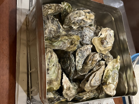 【特価販売中！】調理簡単！福岡県糸島産活牡蠣カンカン焼きセット（2kg）