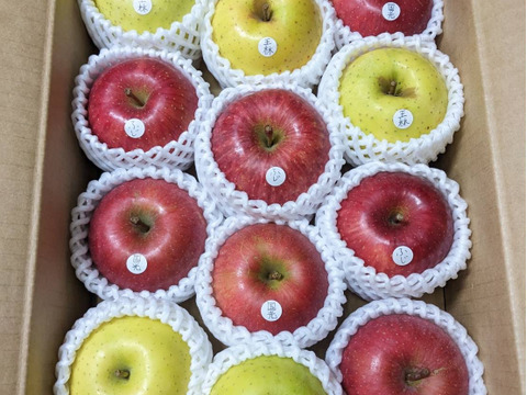 【3品種以上確定！】りんごの玉手箱 品種お任せ 味のお試しに 【家庭規格5㎏】
