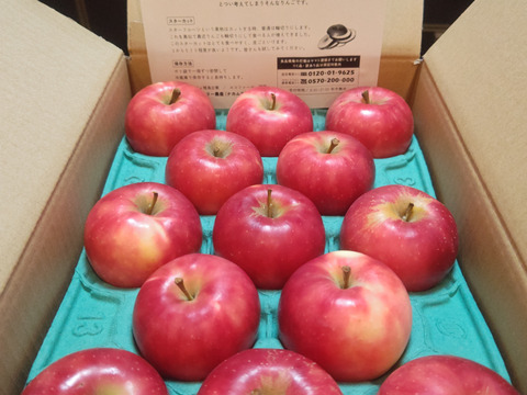 残り20ケース🍎【幻の小玉第1弾】シナノピッコロ3キロ箱 人気上昇中！ 〜21玉 商品ID41120 長野県 信州 安曇野 リンゴ 幻 幻のリンゴ 予約 希少 旬 小玉品種