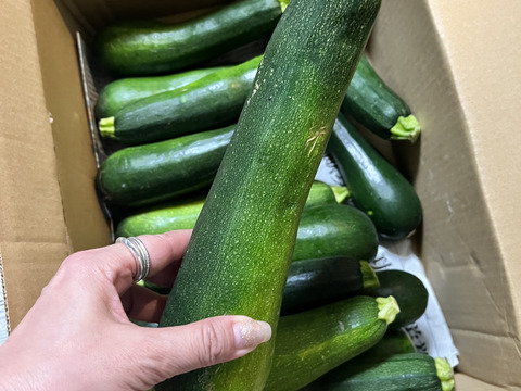 ズッキーニ　群馬県東吾妻町産　訳あり　4kg