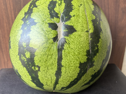 訳あり 山形県産すいか