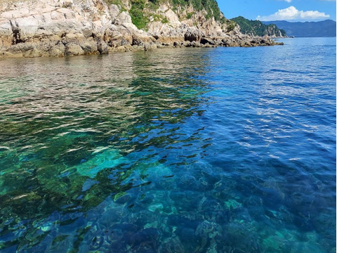 素潜り漁師直送！！今が旬『赤ナマコ』　１kg