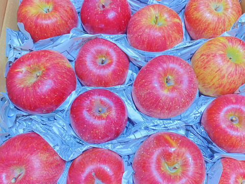 山形県産　樹上完熟サンふじ🍎5キロ　家庭用❗️