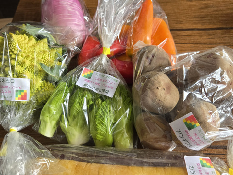 【常温便】カラダ喜ぶ『お試しS冬のカラフル野菜セット6品目』