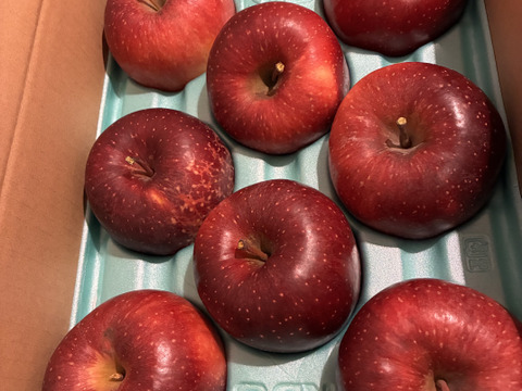 ≪予約受付中≫信州のりんご【シナノホッペ】約3kg