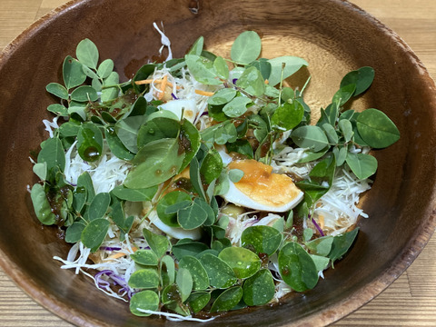 新鮮！生モリンガ　50ｇ×2袋