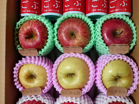 ☆林檎オススメ詰め合わせ＆ジュースセット☆【食べ比べ】