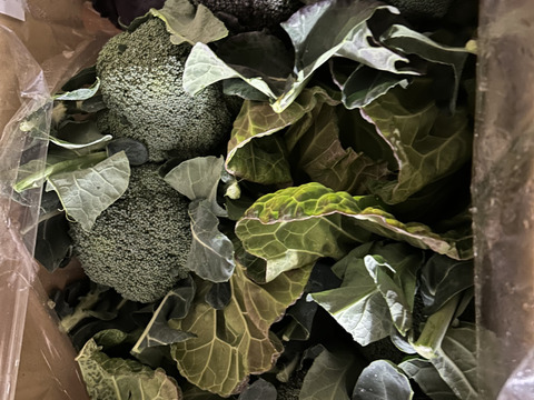 【食べチョクアワード2025受賞】
（ともちゃんセット）
ブロッコリー３つ　春キャベツ２つ