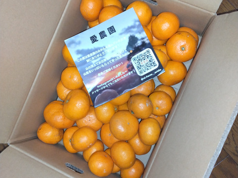 食べ過ぎ注意！山畑の有田みかん 5kg