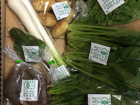 採れたて！旬の有機野菜の詰め合わせ（お試し6種）