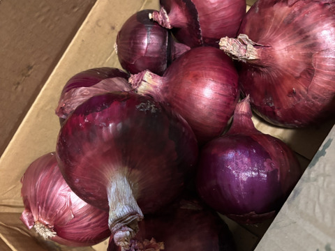 【訳あり】農薬、除草剤不使用！淡路島紫玉ねぎ 赤玉ねぎ3kg
