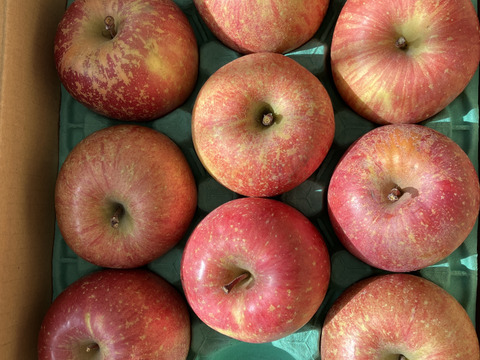【栄養満点】 葉とらずふじ　3㎏　8～12玉　青森りんご　農家直送