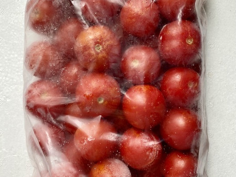 【冷凍】完熟ピークを瞬間ロック！真っ赤な完熟冷凍トマト🍅1kg