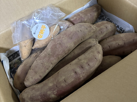 滑らかな食感と甘さで話題に🍠❣️熟成シルクスイート(S〜Lサイズ3kg)