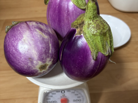 食べてみましょう！とろけるイタリア伝統野菜丸ナスロッサビアンコ２K