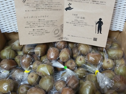 【もうすぐ終了】希少品種！甘くて美味しい🥝レインボーレッド🥝４ｋｇ　小玉～中玉