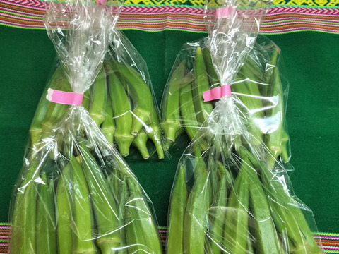 オクラ60本　赤オクラ混合　数量限定　オクラ食べ比べ