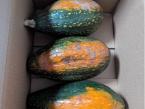 【サラダカボチャ】訳あり　有機JAS認証取得　万次郎かぼちゃ生まるごと（約6.3キロ）3個入