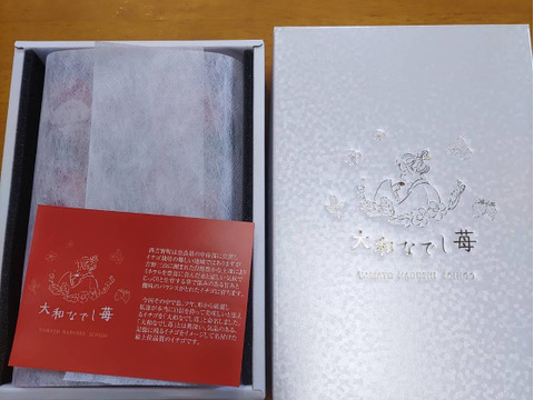 大和なでし苺　古都華　6粒入り　特大　いちご　300g 奈良県　橋本農園　イチゴ