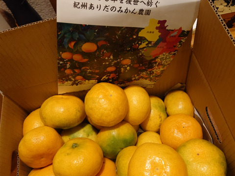 【感動のみかん】S～Mサイズ3kg とみ子ばぁばの宮川早生みかん糖度12度以上/有田産