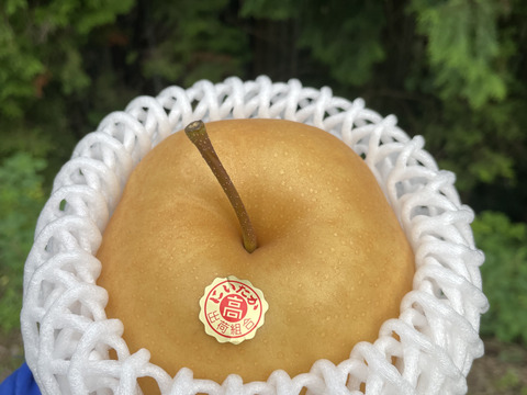 【贈答用】【6玉入】梨の王様「新高梨」食べ応え抜群！