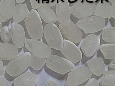 【令和７年産　新米】動物由来肥料不使用、化学肥料半減、米粒成長期の農薬ゼロ、だから、米粒は小さめですが、味は凝縮　令和7年新米です　ひとめぼれ4.5kg　標準精米でお届けします