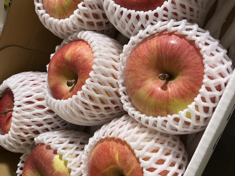 12月中旬頃発送🚚農薬半減栽培【キズなし良品】低農薬で皮ごとうまい🍎サンふじ🍎3kg  葉とらずりんご 予約 旬 化学肥料不使用 特別栽培認証取得
