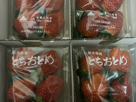 完熟とちあいかととちおとめの食べ比べセット
【いちご食べ比べ】