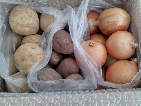 最終販売❣️北海道とかち❗️じゃが、タマ3点食べ比べセット‼️🥔🧅🥔【メークイン】1.7kg  大好評味の濃い【とうや】1.7kg  【直播タマネギ】1.7kg 合計約5kg☆
