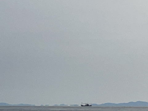 北海道奥尻産秋ホッケ開き一夜干し(3枚)