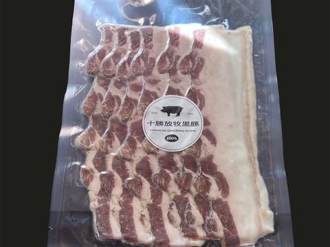 『訳あり』十勝放牧黒豚　ベーコン切り落とし　100ｇ×10
