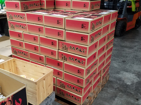 今がチャンス❗１kg増量で６kg規格
今が旬♪
高糖度、甘さ、シャキシャキ食感♪
甘いりんごが好きな方にはコレ！
完熟トキ　　家庭用６kg