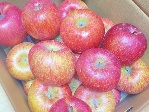 山形県産　サンふじ🍎加工用　１０キロ❗️