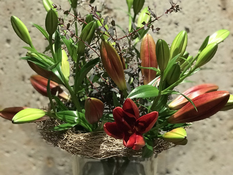 【フラワーバレンタイン企画】期間限定!!❤︎Love bouquet❤︎ 情熱の赤をお届け!今年のバレンタインはユリさんのブーケはいかかですか??