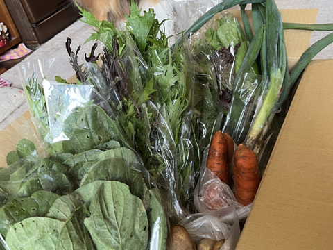 寒暖差が美味しさの秘訣！高原野菜セット【L: 4〜5人用】