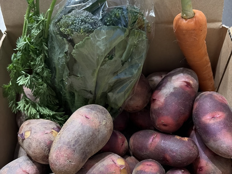 【美味しい！じゃがいも】グラウンドペチカ2kg