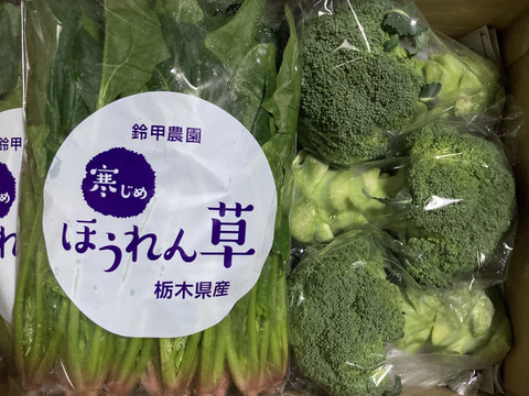 肉厚！寒じめほうれん草【２３０ｇ×３袋】とブロッコリー【２個】のセット