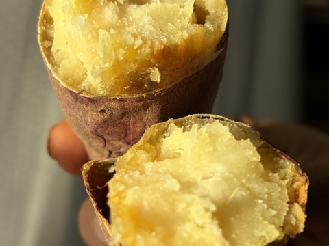 高系14号｜ホクホク栗のような上品な甘さ 島育ちの熟成さつまいも 五島産 ２kg