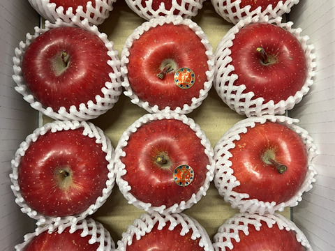 【家庭用】サンふじ 蜜なし   約3kg(12～14個)