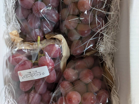 自家用】 クイーンルージュ®︎ 約2kg【長野県限定品種】：長野県産の