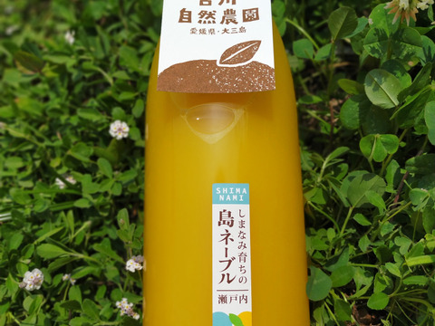 しまなみ育ちの無添加ネーブルオレンジジュース（1ℓ×4本）