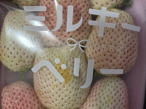 お祝い贈答用！紅白いちご『とちあいか』『ミルキーベリー』（300ｇ×2）【いちご食べ比べ】