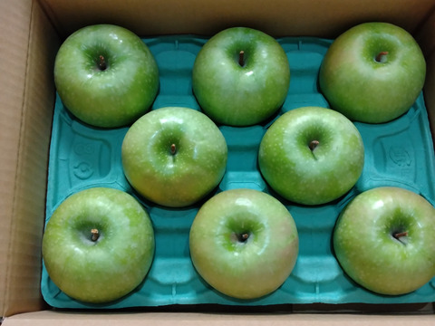 発送中🍏【パティシエに大人気！ 】グラニースミス 3キロ箱使用