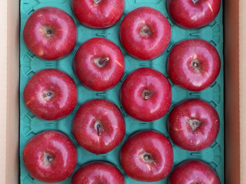 信州産特選葉とらずサンふじプレミアム5kg11～18個入り 信州古畠りんご園から直送 ご贈答にもご家庭用にもどうぞ