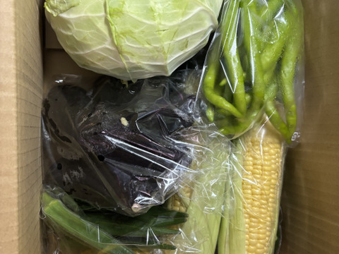 標高800mで育った高原野菜S(9-10品目)野菜セットS