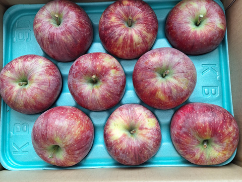 ≪収穫中≫　新品種！夏りんご【シナノリップ】３㎏