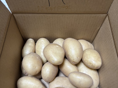 【新じゃが箱込2ｋｇ】じゃがバター最強★掘りたてメークイン（本州の方限定）