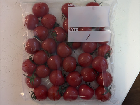 Ⓜ1.2kg《春だ！旬だ！プチぷよだ！》プチぷよ《春の陣》