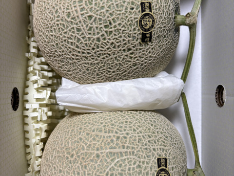 【冬ギフト】「良品」2玉で3kg高糖度マスクメロン